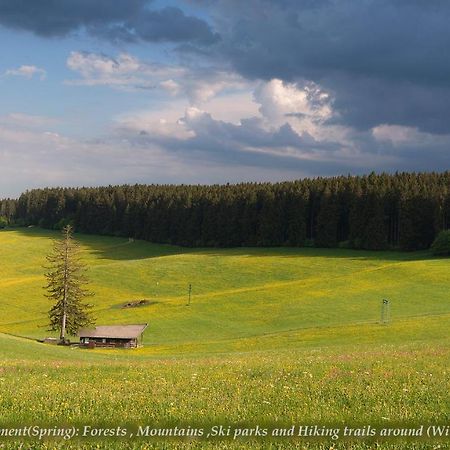 Entire House In Schwarzwald With Mountain View, Private Gym,Sauna And Garden Villa Unterkirnach Exterior foto