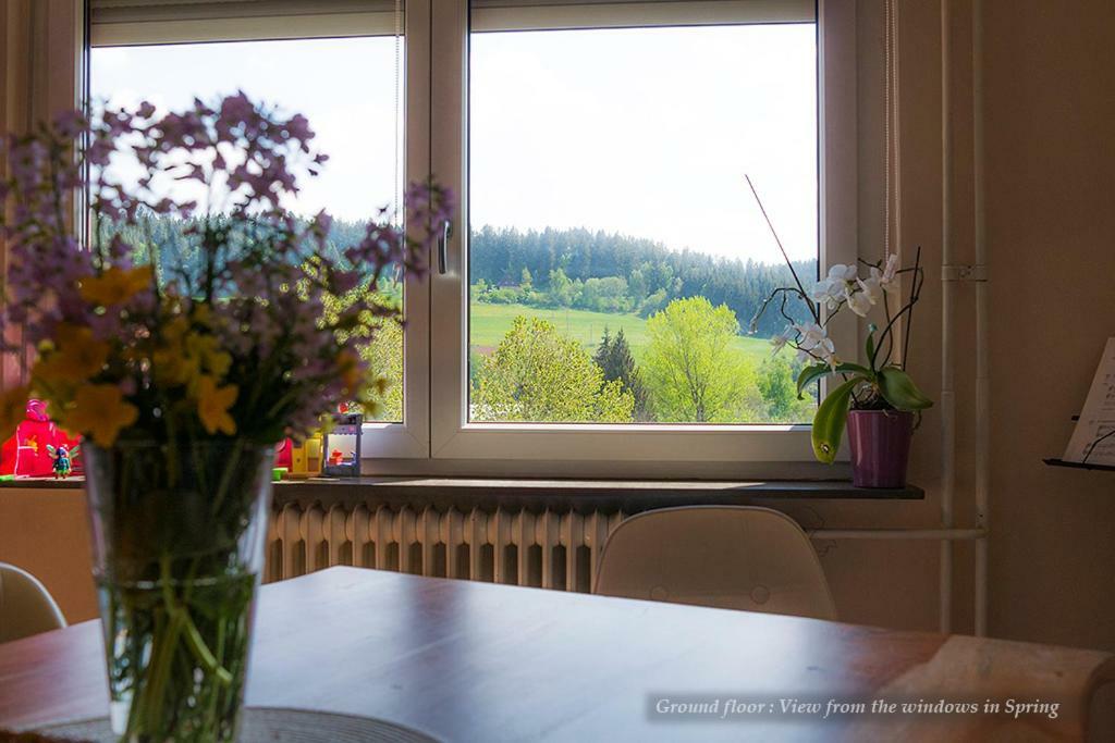 Entire House In Schwarzwald With Mountain View, Private Gym,Sauna And Garden Villa Unterkirnach Exterior foto